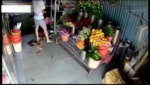 花店老板叶女士爆料视频,一场关于鲜花与情感的独特邂逅  第1张